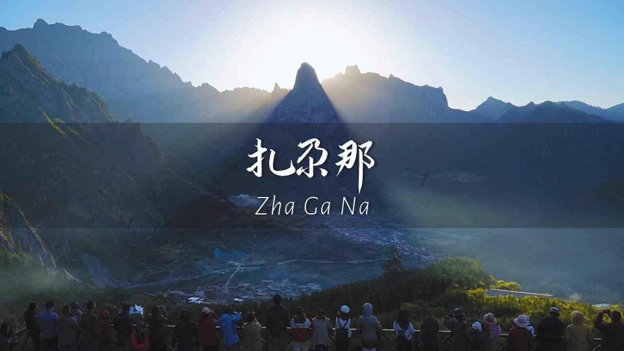 最全面的苏打加啤酒真能去污吗知识星球,深入探索苏打加啤酒真能去污吗领域